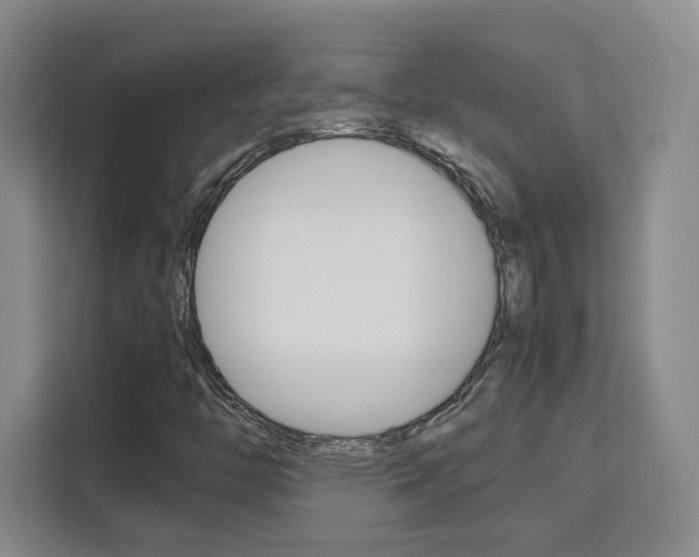 X0000111531446200907141247