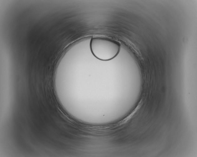 X0000111531449200907141247
