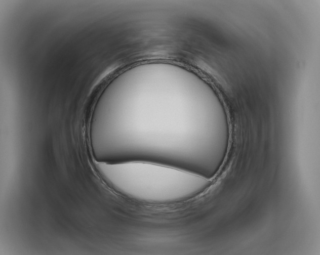X0000111531450200907141247
