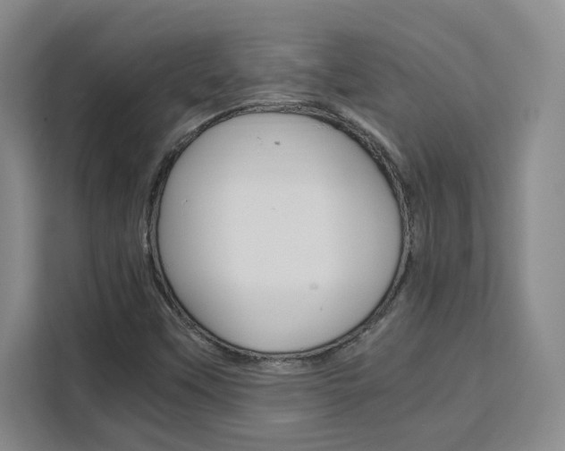 X0000111531451200907141247
