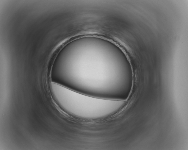 X0000111531452200907141247