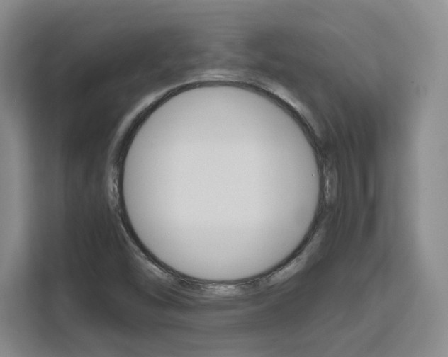 X0000111531454200907141247