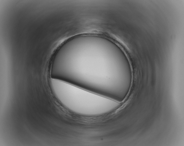 X0000111531455200907141247