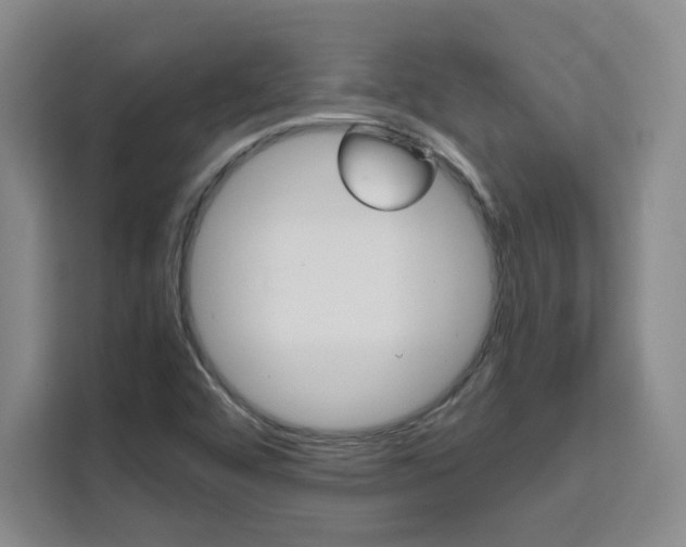 X0000111531456200907141247