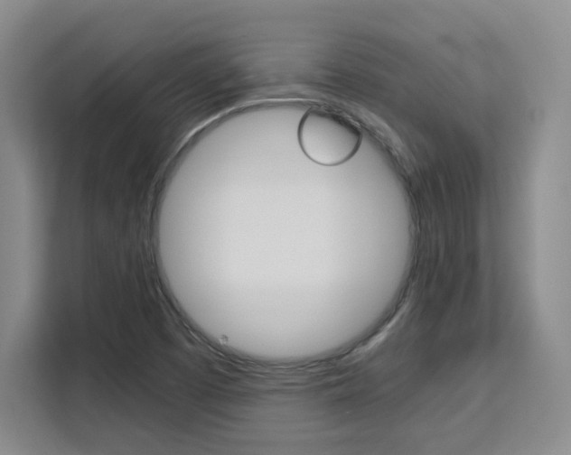 X0000111531457200907141247
