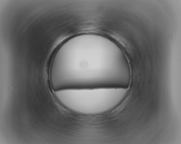 X0000111531458200907141247