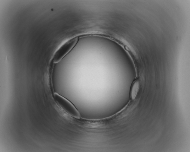 X0000111531460200907141247