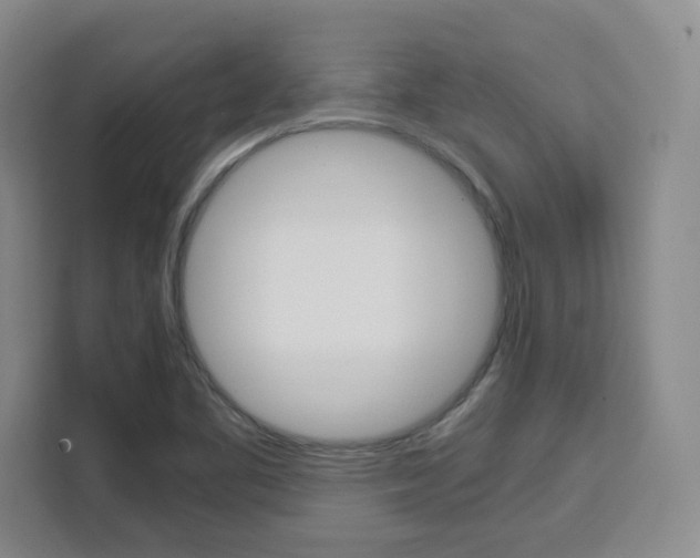 X0000111531461200907141247