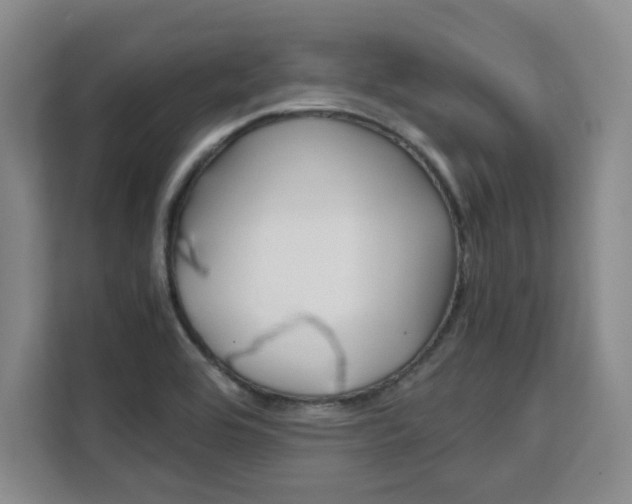 X0000111531464200907141247