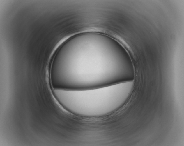 X0000111531468200907141246