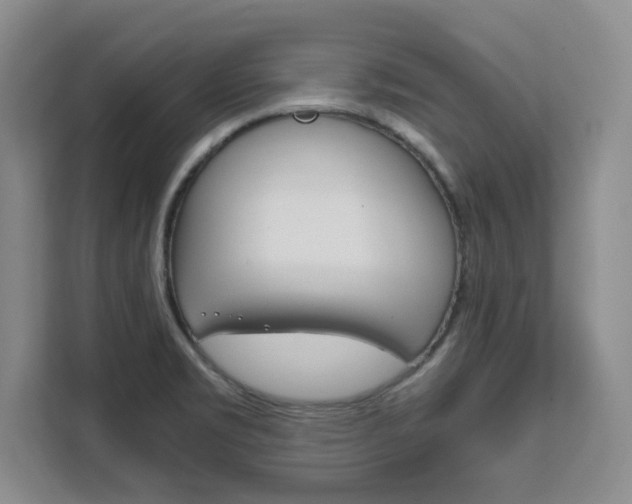 X0000111531469200907141246