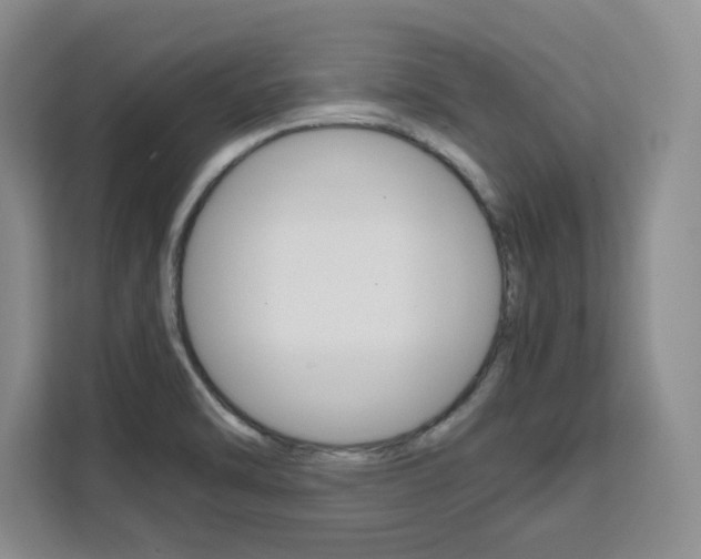 X0000111531470200907141246