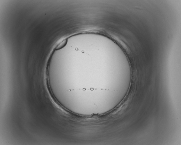 X0000111531471200907141246