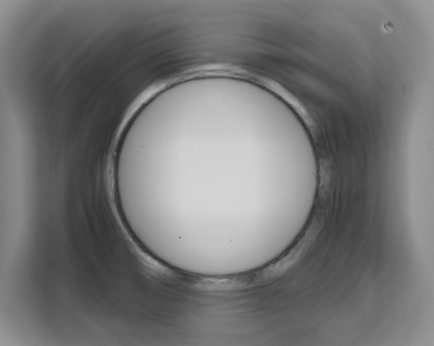 X0000111531474200907141246