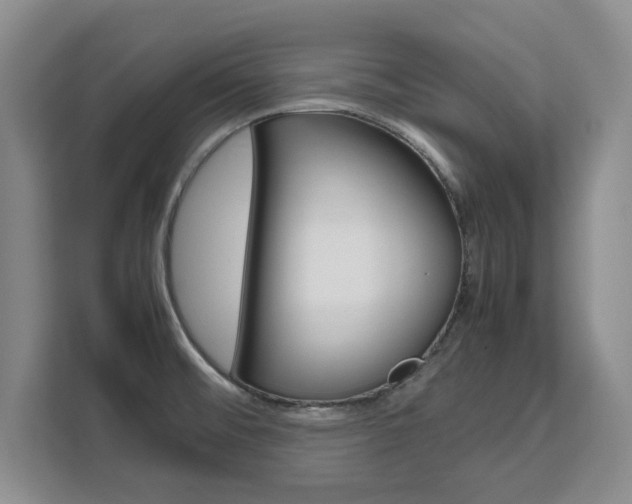 X0000111531476200907141246