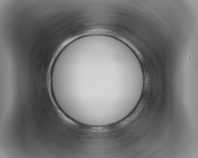 X0000111531478200907141246