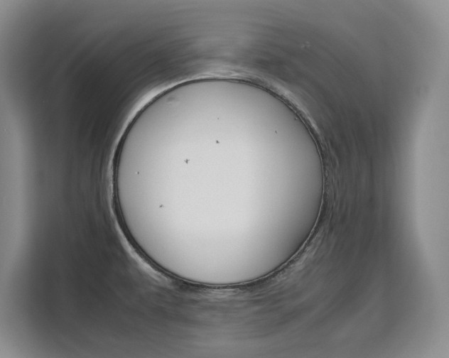 X0000111531479200907141246