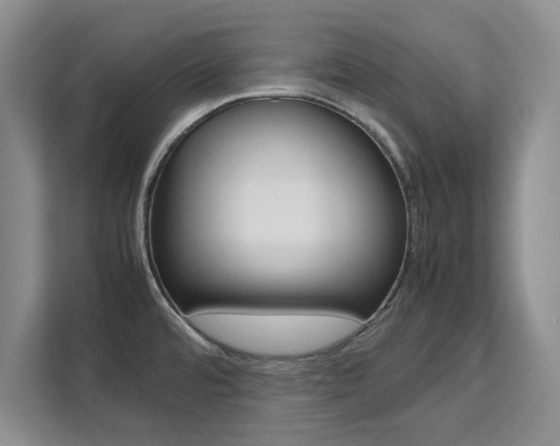 X0000111531480200907141246
