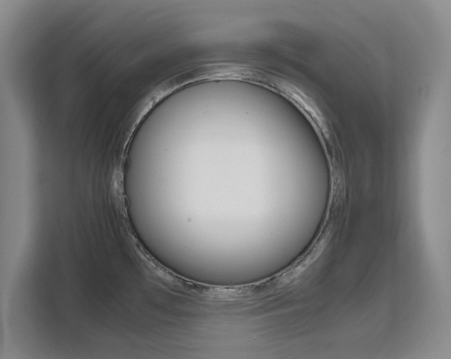 X0000111531481200907141246