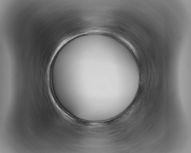 X0000111531483200907141246