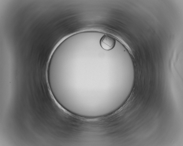 X0000111531484200907141246