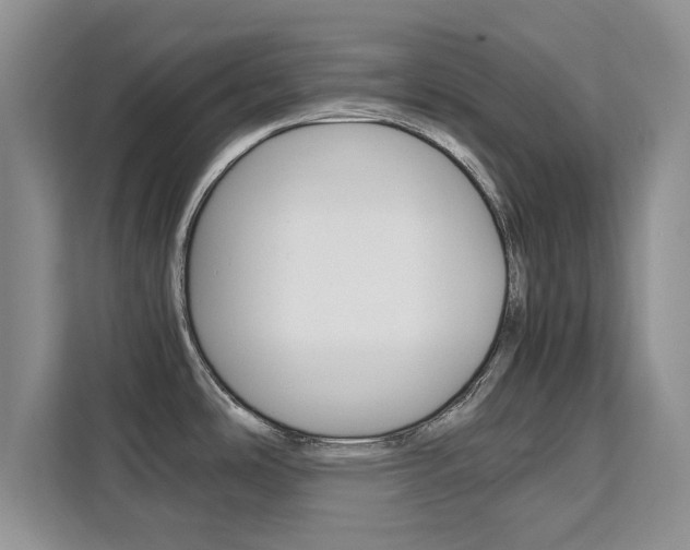 X0000111531486200907141246