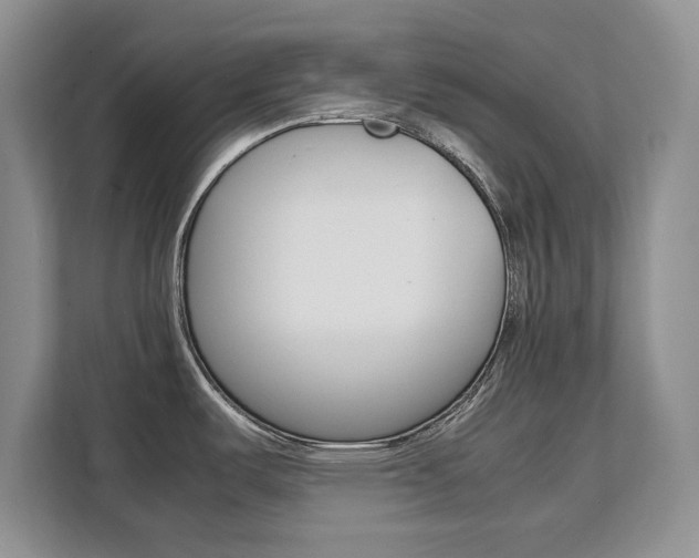 X0000111531487200907141246
