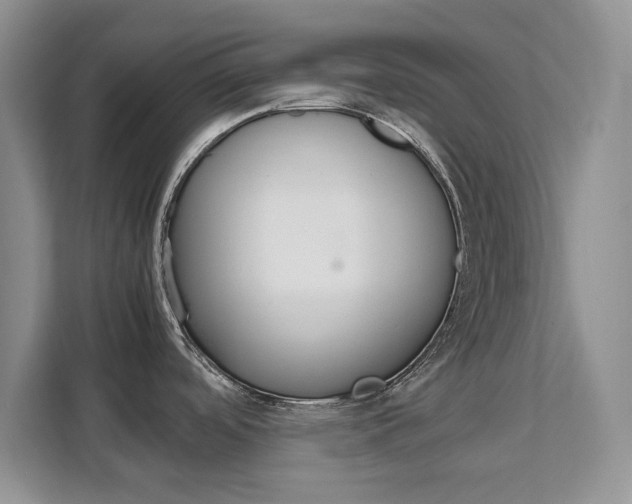 X0000111531488200907141246
