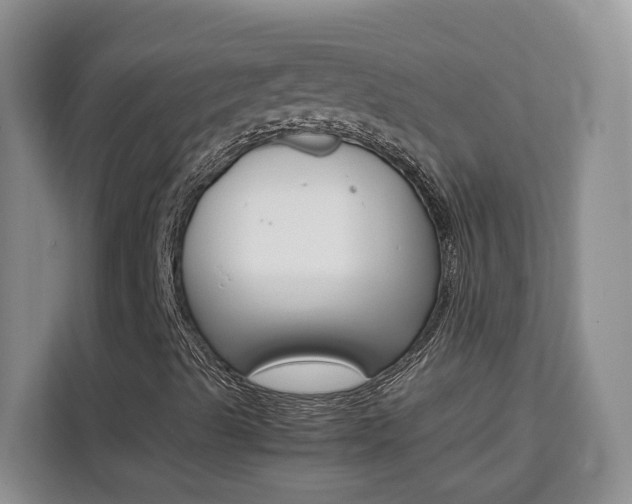 X0000111531489200907141246