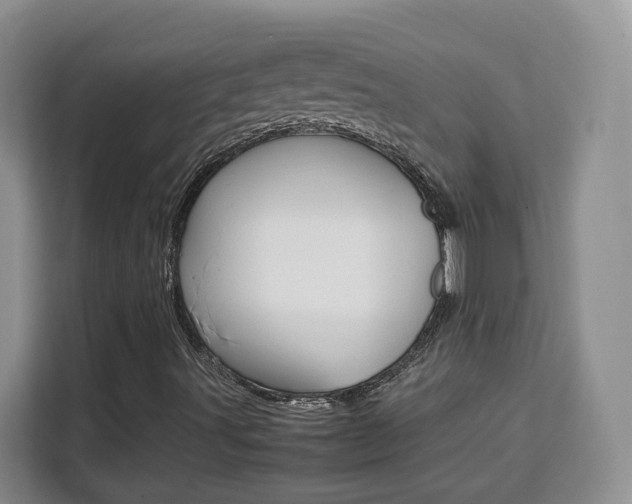 X0000111531491200907141246