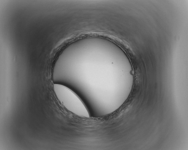 X0000111531494200907141246