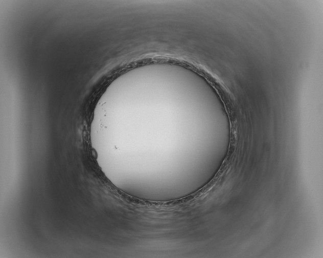 X0000111531495200907141246