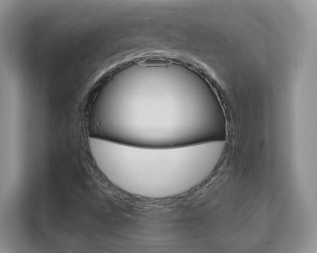 X0000111531496200907141246