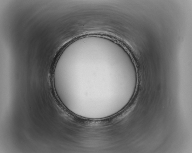 X0000111531497200907141246