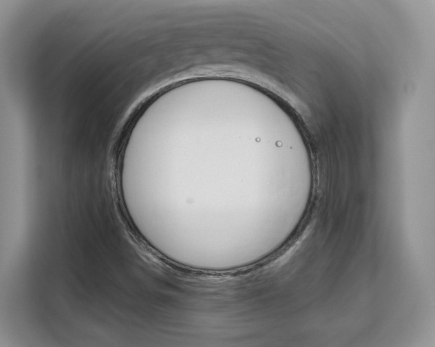X0000111531498200907141246