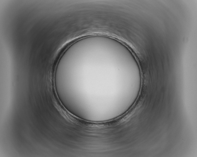 X0000111531499200907141246
