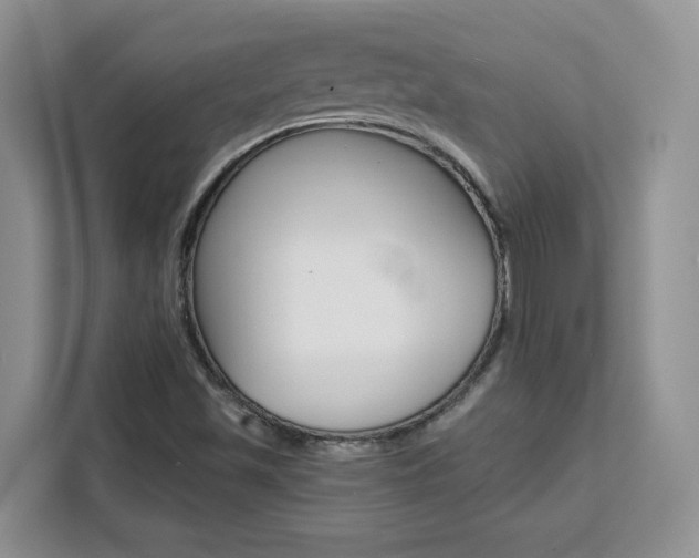 X0000111531501200907141246
