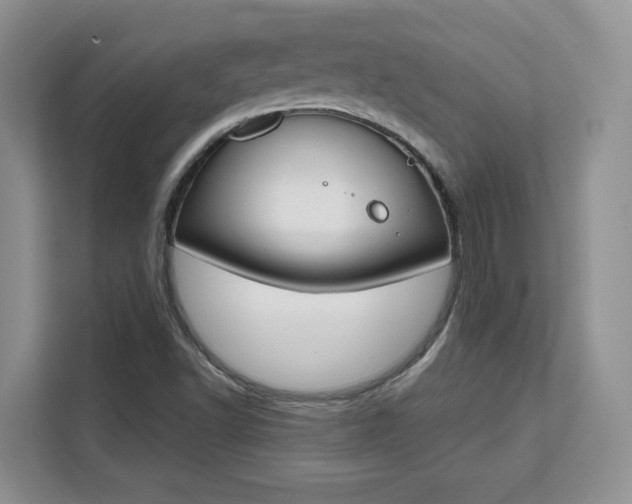 X0000111531502200907141246