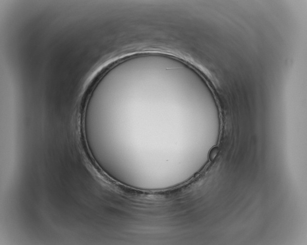 X0000111531503200907141246