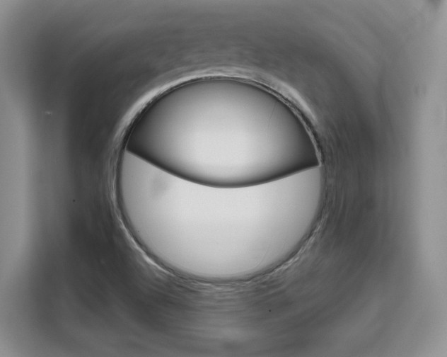 X0000111531504200907141246