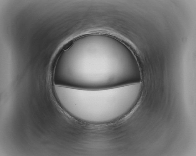 X0000111531506200907141246