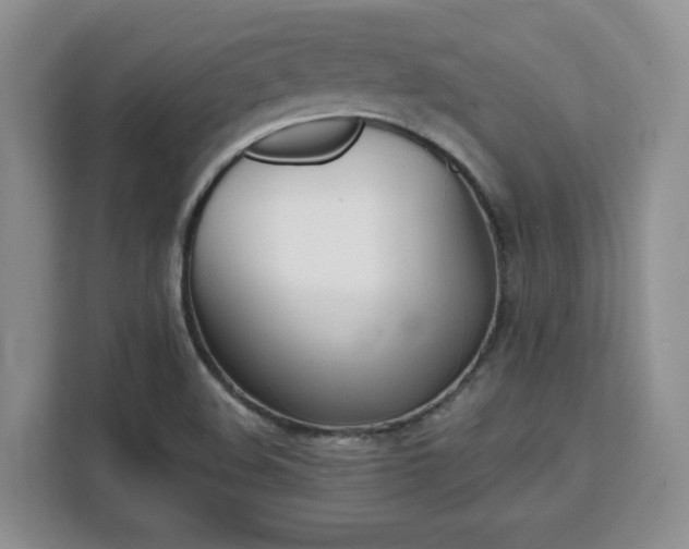 X0000111531508200907141246
