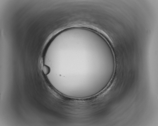 X0000111531509200907141246