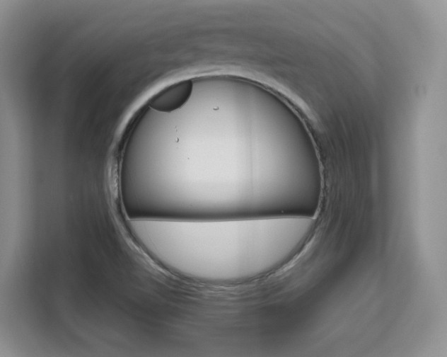 X0000111531510200907141246