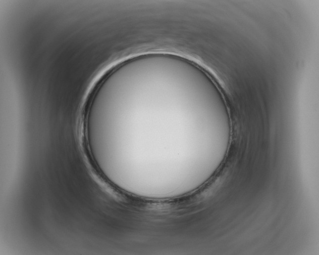 X0000111531511200907141246
