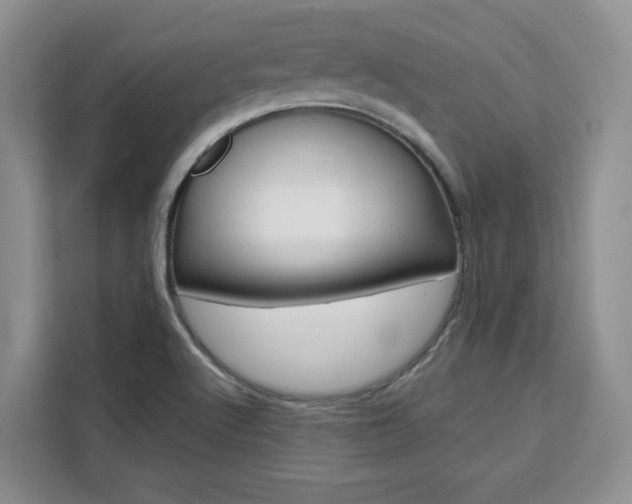 X0000111531512200907141246