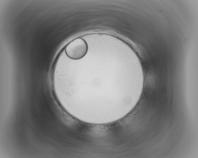 X0000111531514200907141246