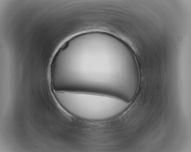X0000111531516200907141246