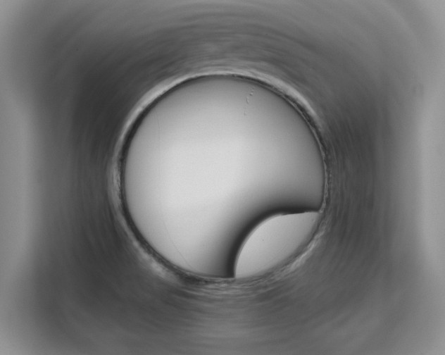X0000111531517200907141246