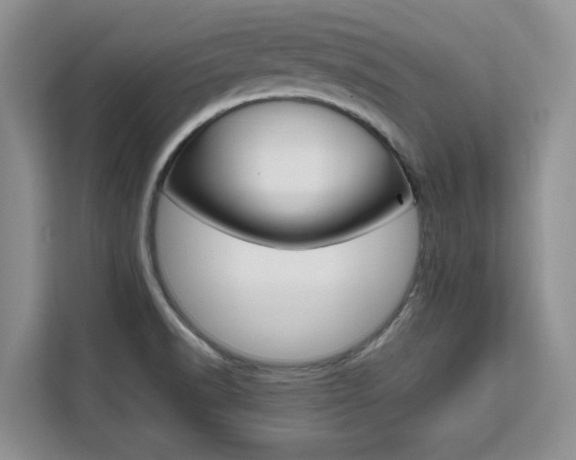 X0000111531518200907141246